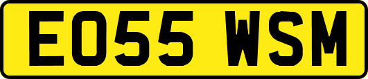 EO55WSM