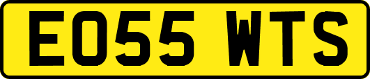 EO55WTS
