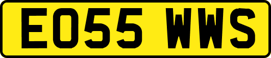 EO55WWS