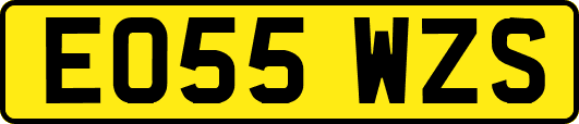 EO55WZS