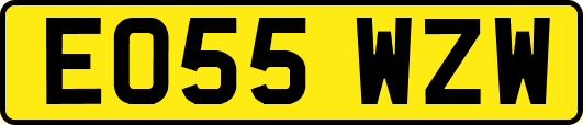 EO55WZW