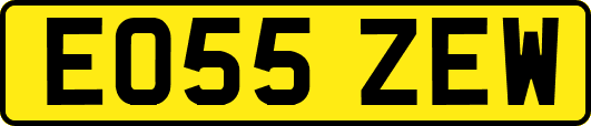 EO55ZEW