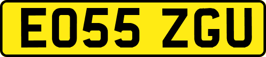 EO55ZGU