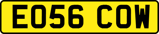 EO56COW