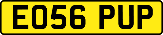 EO56PUP