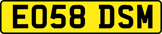 EO58DSM