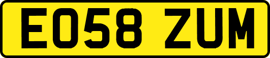 EO58ZUM