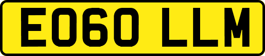 EO60LLM