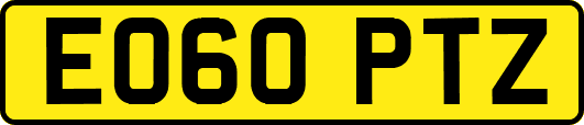 EO60PTZ
