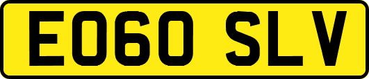 EO60SLV