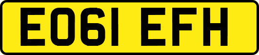 EO61EFH