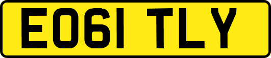 EO61TLY