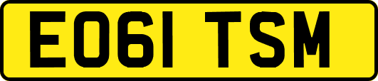 EO61TSM