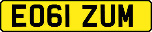 EO61ZUM