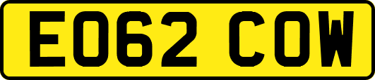EO62COW