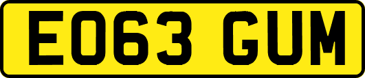 EO63GUM