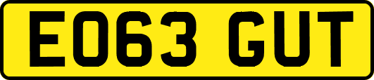 EO63GUT