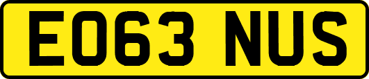 EO63NUS