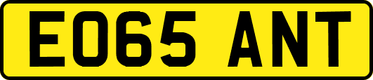 EO65ANT