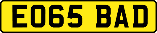 EO65BAD