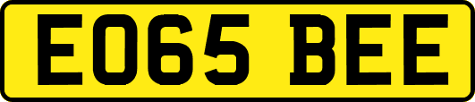 EO65BEE
