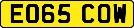 EO65COW