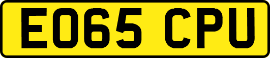 EO65CPU