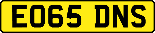 EO65DNS
