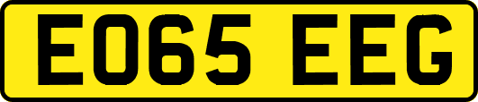 EO65EEG