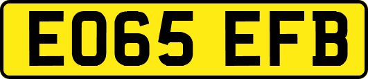 EO65EFB