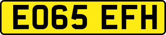 EO65EFH