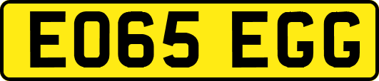 EO65EGG