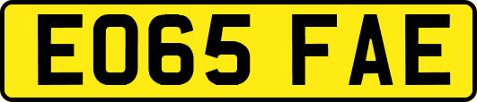 EO65FAE