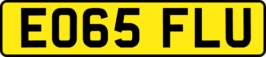 EO65FLU