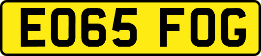 EO65FOG