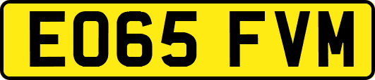 EO65FVM