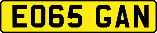 EO65GAN