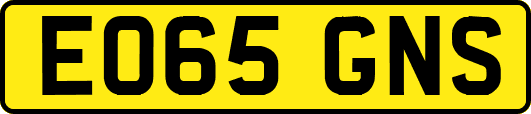 EO65GNS