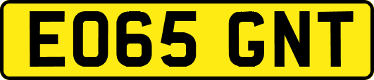 EO65GNT