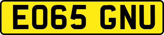 EO65GNU