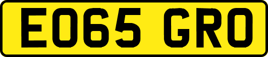 EO65GRO