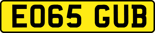 EO65GUB