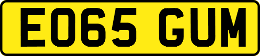 EO65GUM