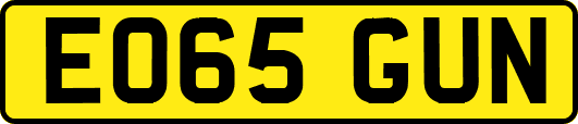 EO65GUN