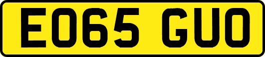 EO65GUO