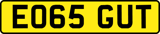 EO65GUT