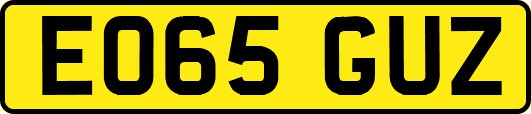 EO65GUZ