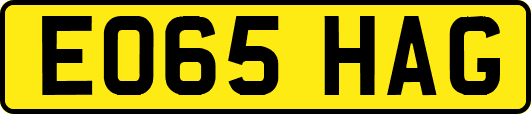 EO65HAG