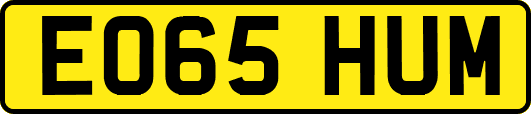 EO65HUM