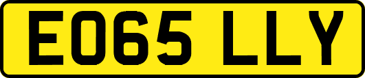 EO65LLY